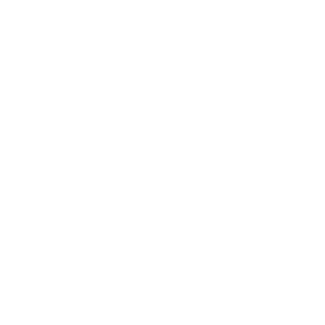 The Flower of Life